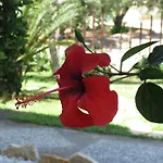Baia Di Portu Frailis Apartamento