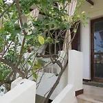 Baia Di Portu Frailis Àrbatax