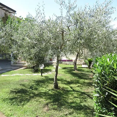 Baia Di Portu Frailis * Àrbatax