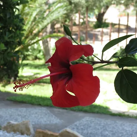 Baia Di Portu Frailis Apartment